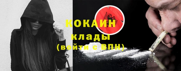 шишки Гусев
