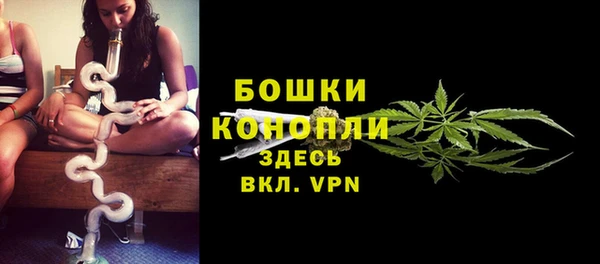 шишки Гусев