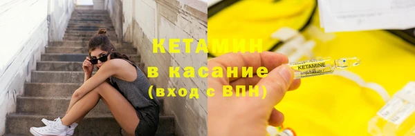 шишки Гусев