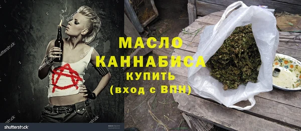 шишки Гусев