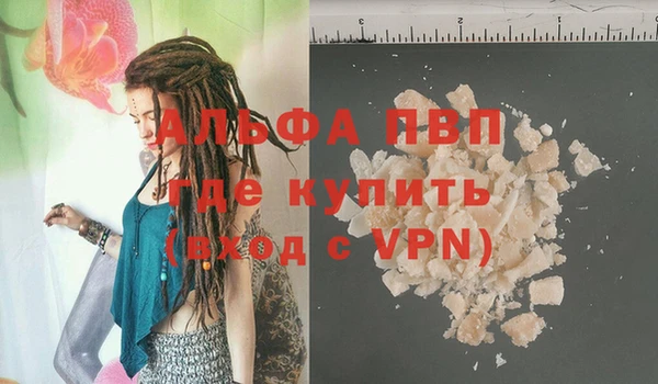 шишки Гусев
