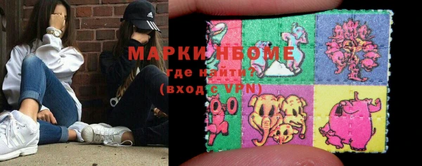 шишки Гусев