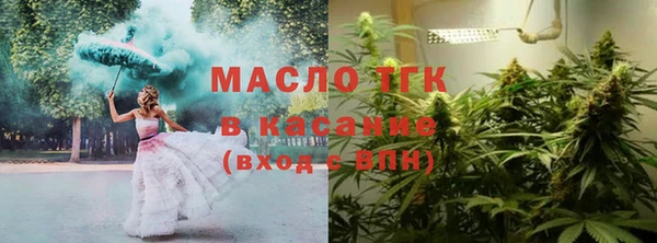 шишки Гусев