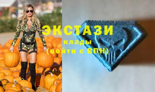 шишки Гусев