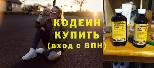 шишки Гусев