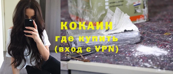 шишки Гусев
